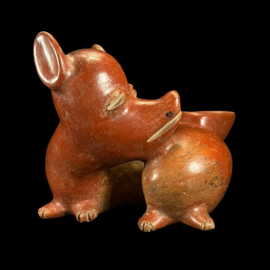 Rare Pre-Columbian Colima pottery dog - TL tested