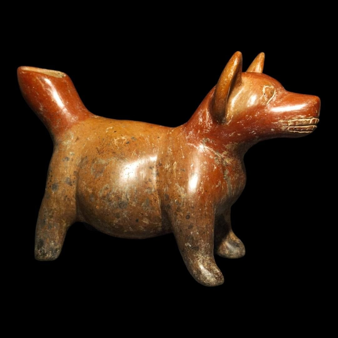 Pre-Columbian Colima pottery dog