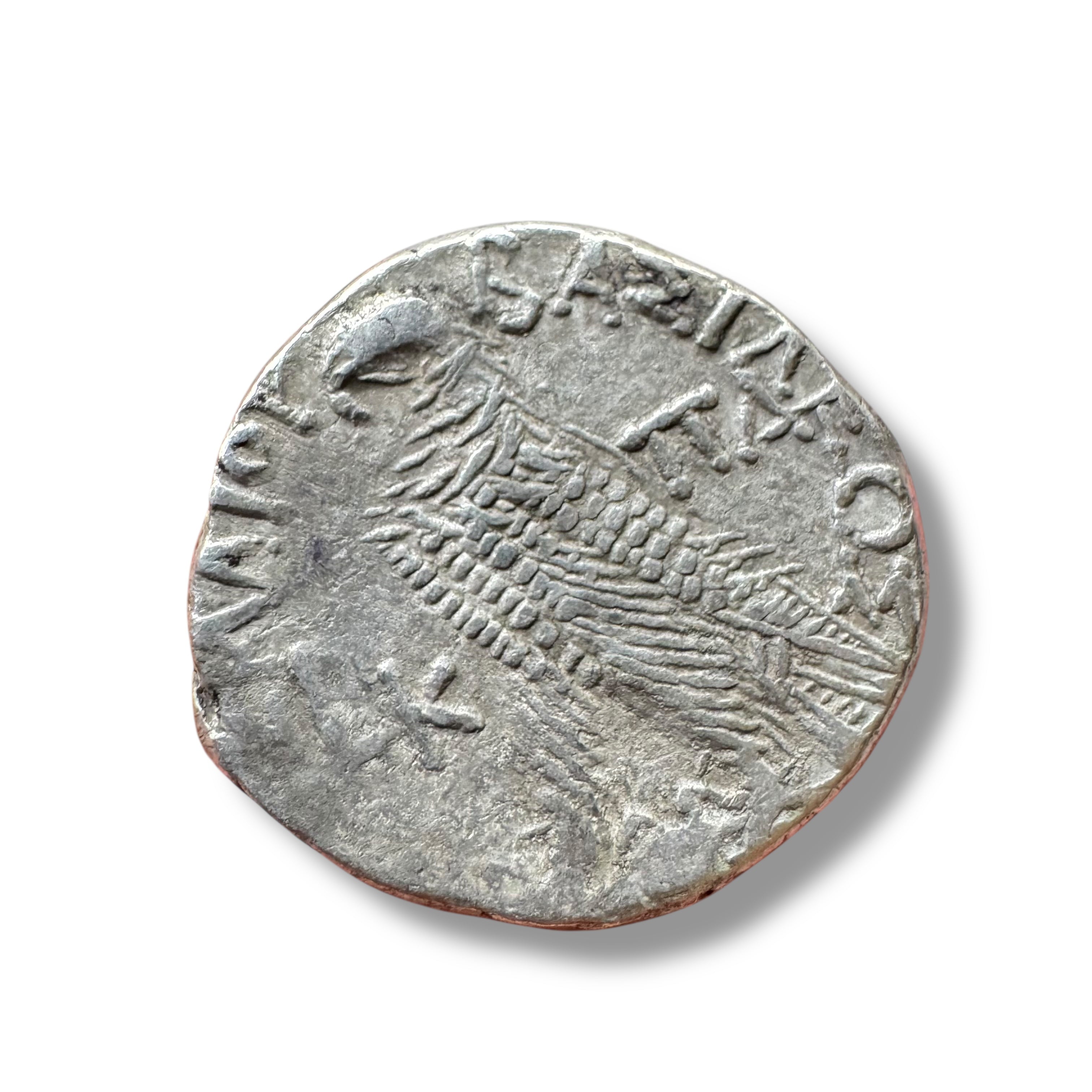 Ptolemaic Kingdom, Ptolemy IX Soter II (116–80 BC)
AR Tetradrachm, Alexandria Mint