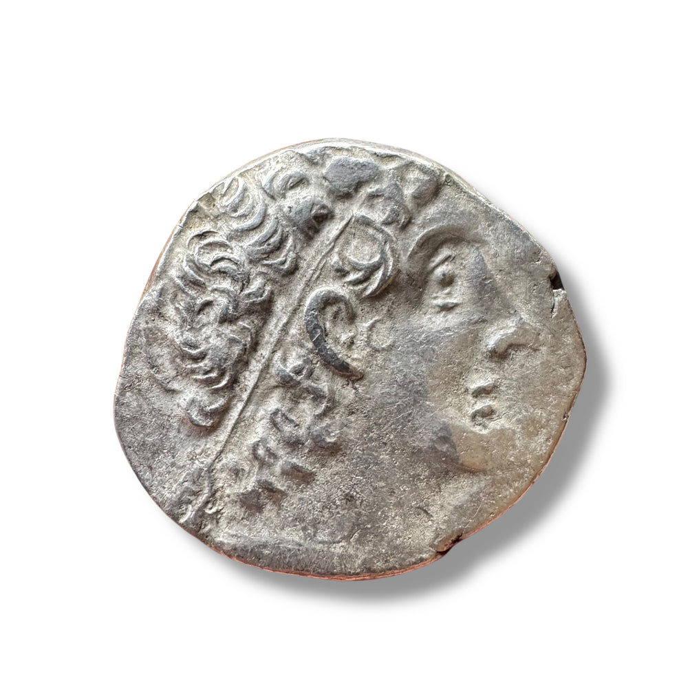 Ptolemaic Kingdom, Ptolemy IX Soter II (116–80 BC)
AR Tetradrachm, Alexandria Mint