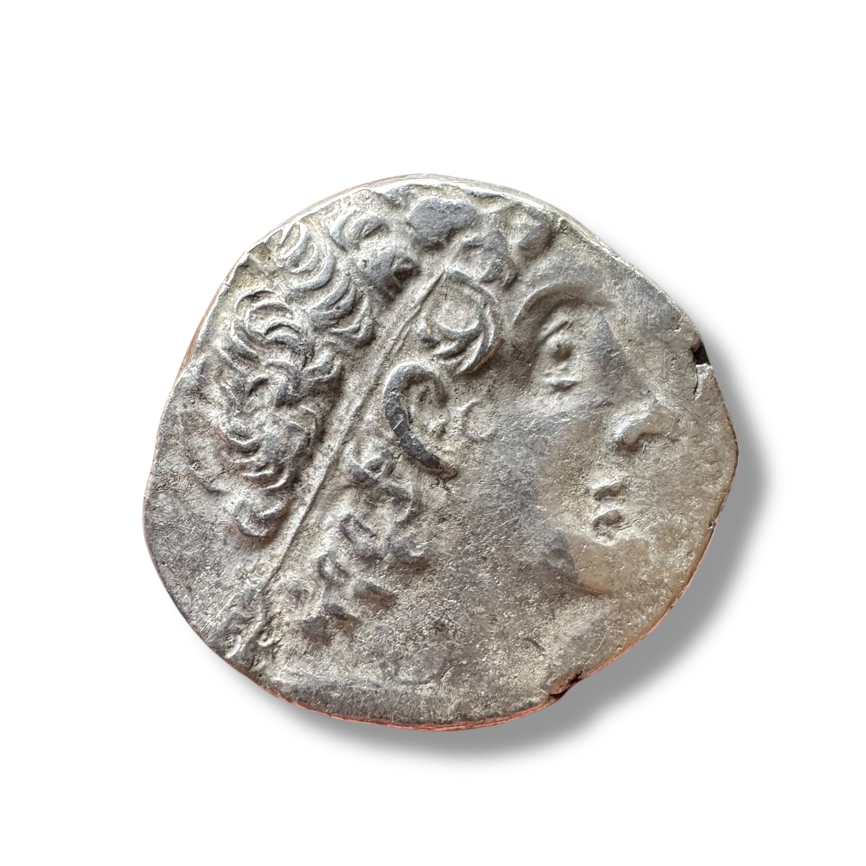 Ptolemaic Kingdom, Ptolemy IX Soter II (116–80 BC)
AR Tetradrachm, Alexandria Mint