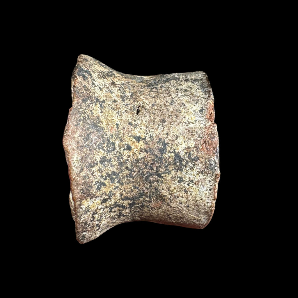 Pre-Columbian Teotihuacan Mold-Made Pottery Ear Spool