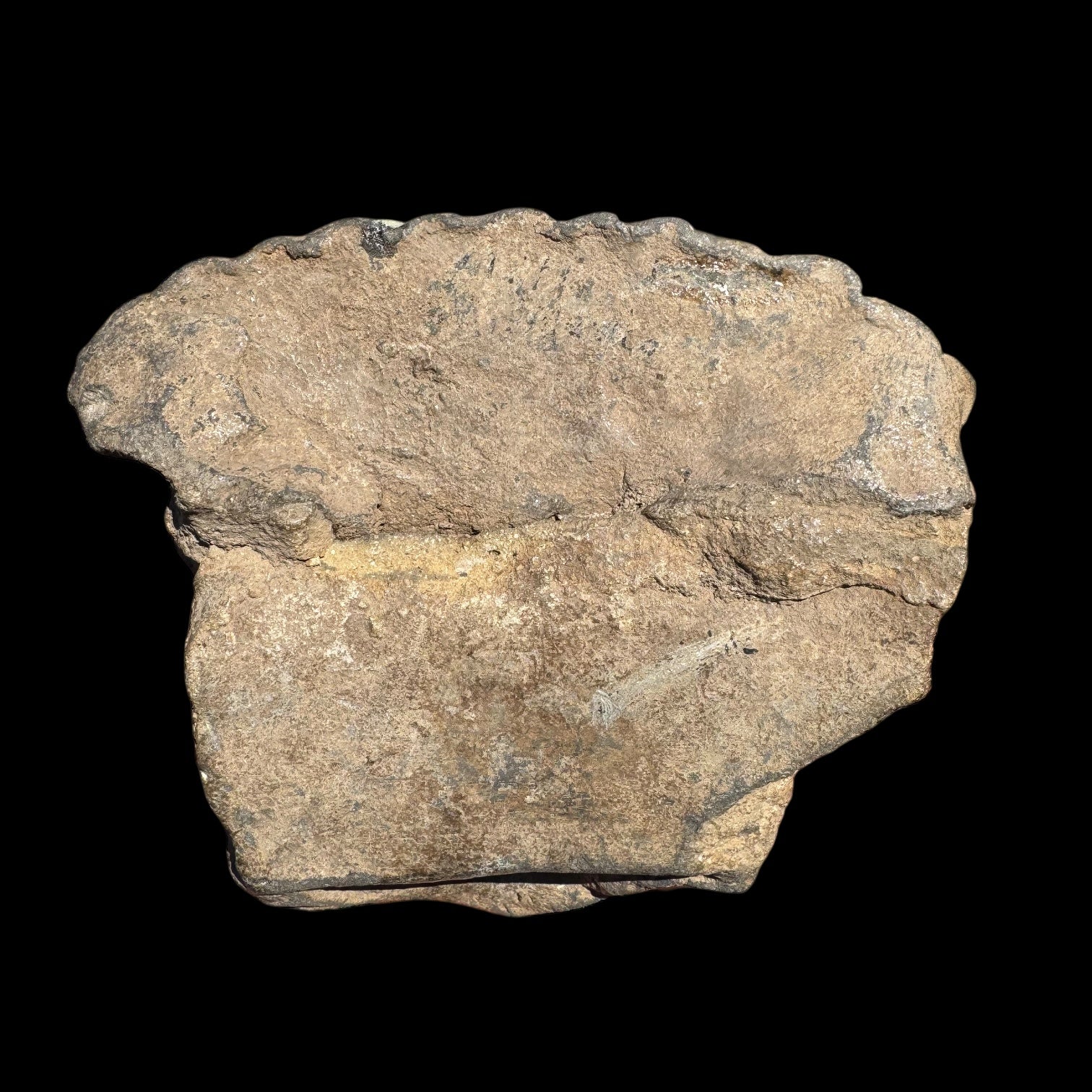 Pre-Columbian Zapotec Pottery Urn Fragment – Oaxaca, Mexico