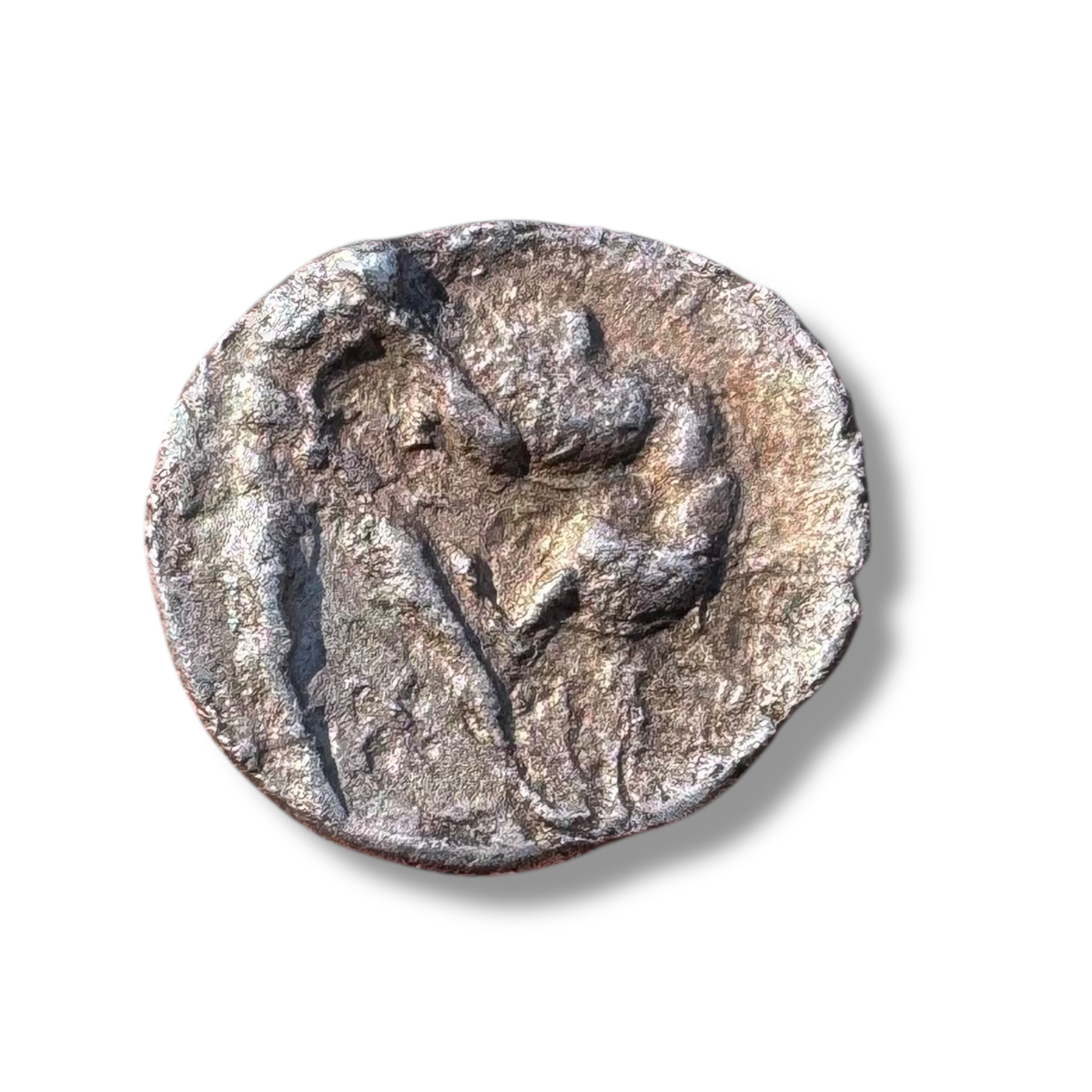 Greek Italy, Tarentum (Calabria)
AR Diobol, circa 325–280 BC