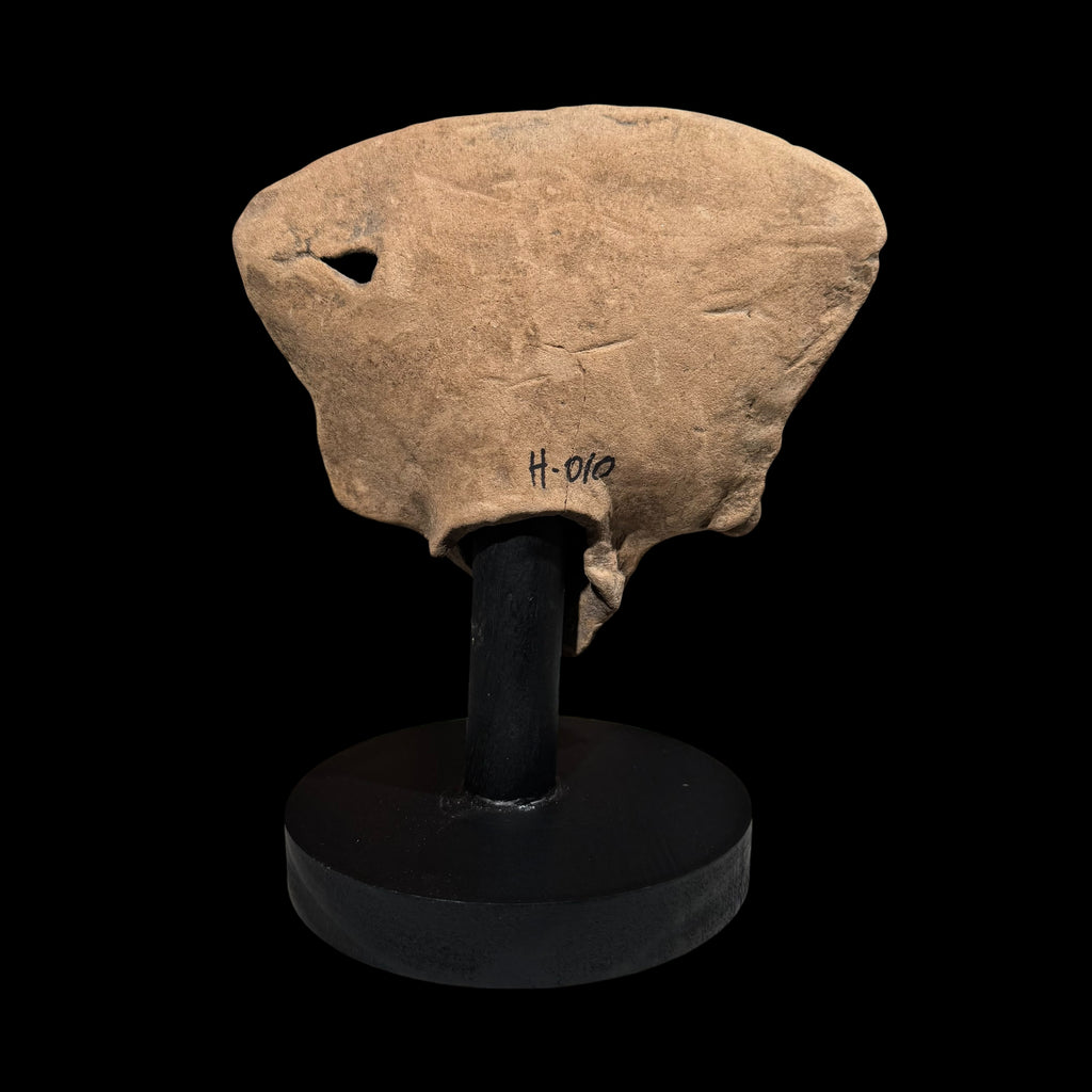 Pre-Columbian Veracruz Sonriente Head Fragment