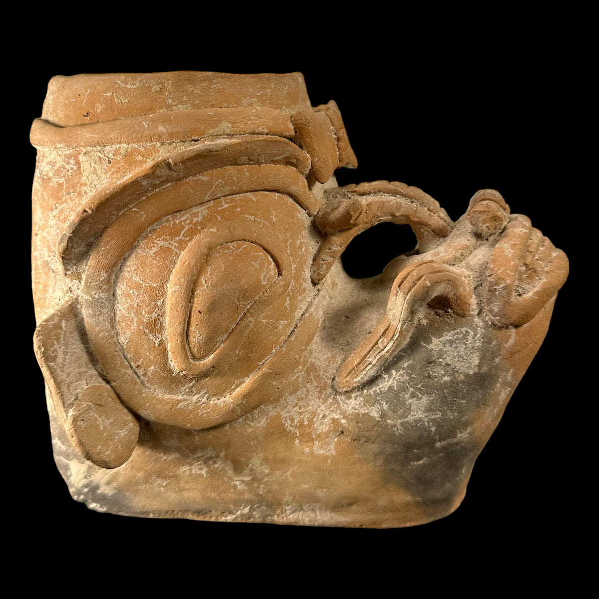 Pre-Columbian Jamacoaque Zoomorphic Urn