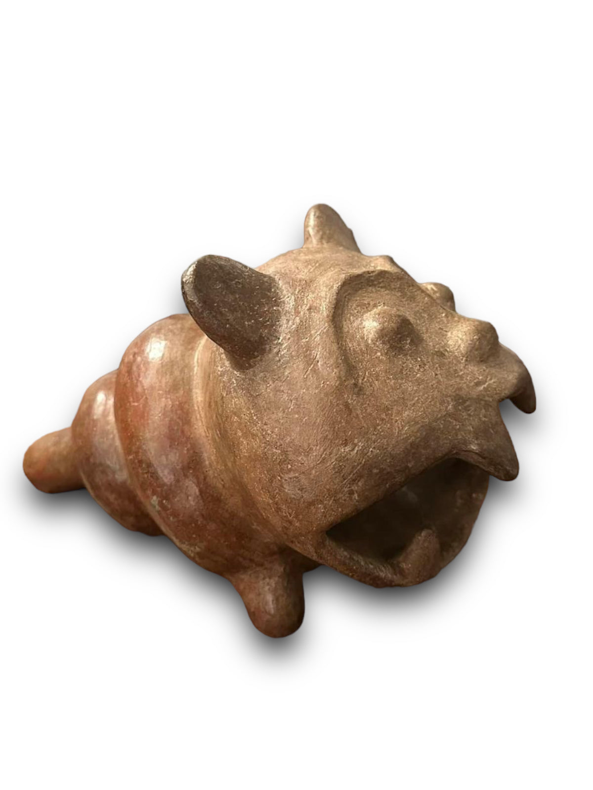 Scarce Pre-Columbian Toltec feline shell trumpet