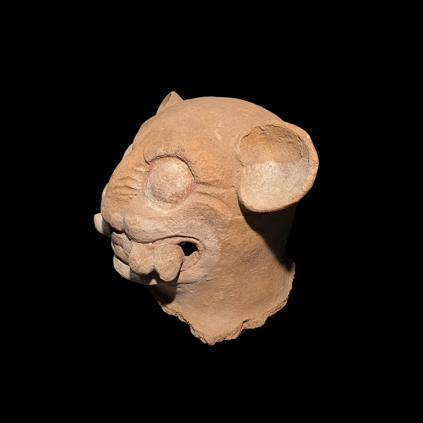Pre-Columbian Maya Jaguar Burial urn lid fragment