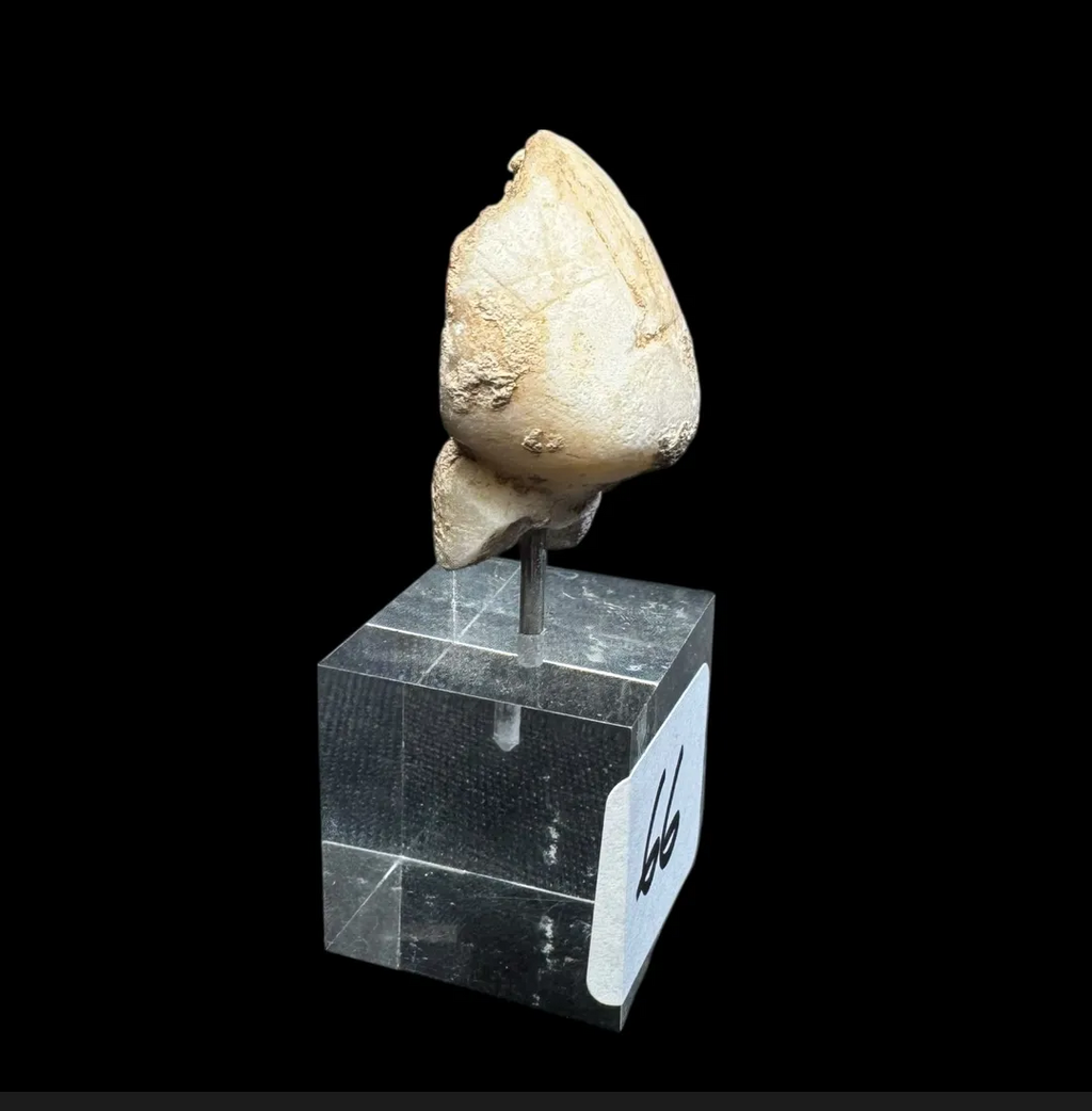 Rare Anatolian Marble “Stargazer” Kilia-Type Head Fragment