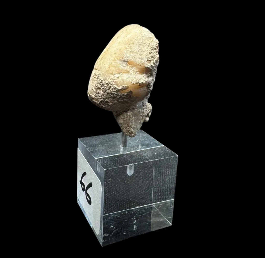 Rare Anatolian Marble “Stargazer” Kilia-Type Head Fragment