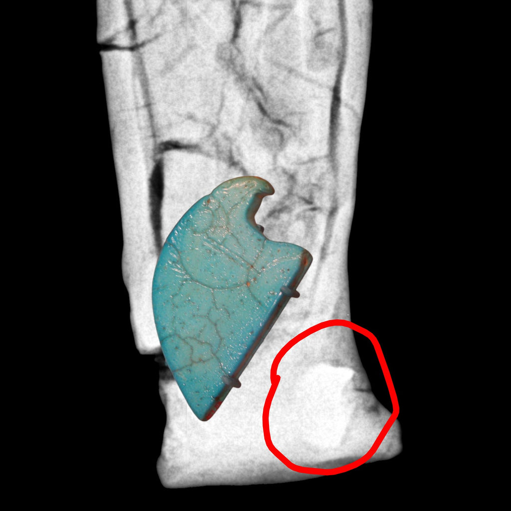 Ancient Egyptian Votive Falcon Mummy