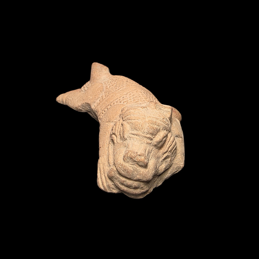 Pre-Columbian Veracruz Pottery Jaguar Rattle & Whistle