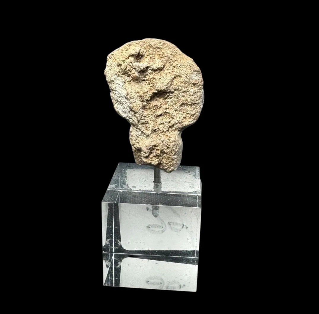 Rare Anatolian Marble “Stargazer” Kilia-Type Head Fragment
