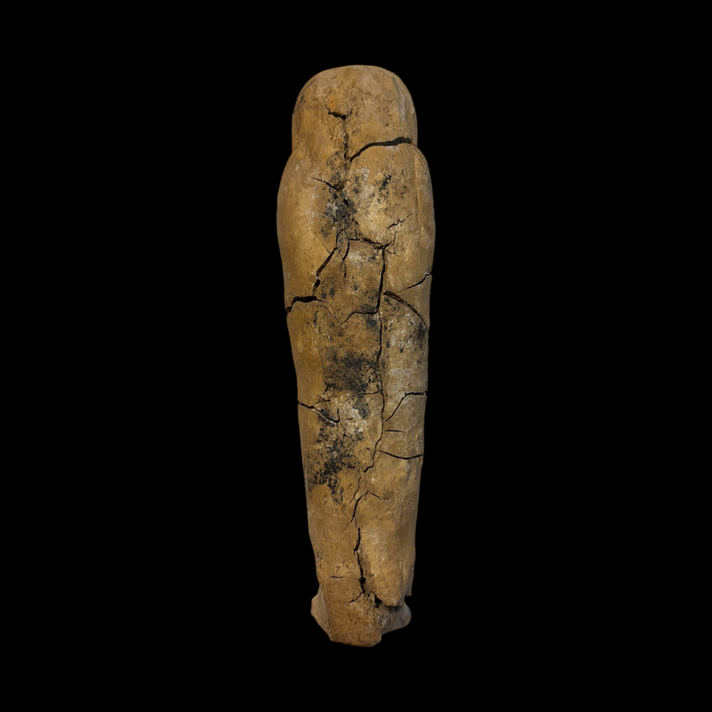 Ancient Egyptian Votive Falcon Mummy