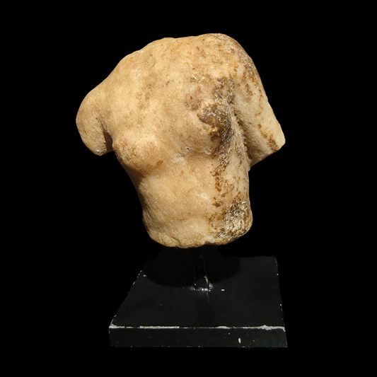 Ancient Roman Marble Torso