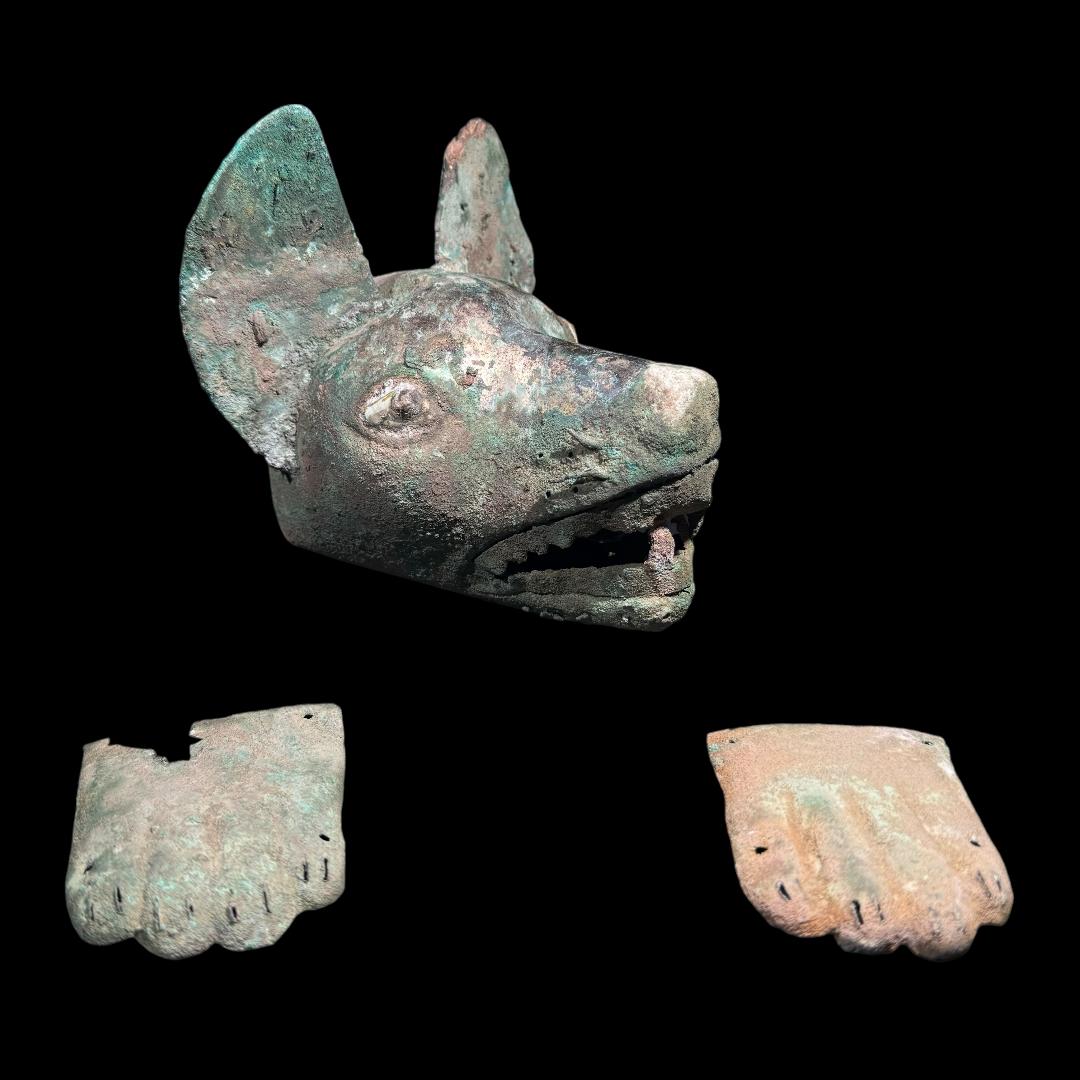 Rare Pre-Columbian Moche Fox Head and Paw Turban Ornaments