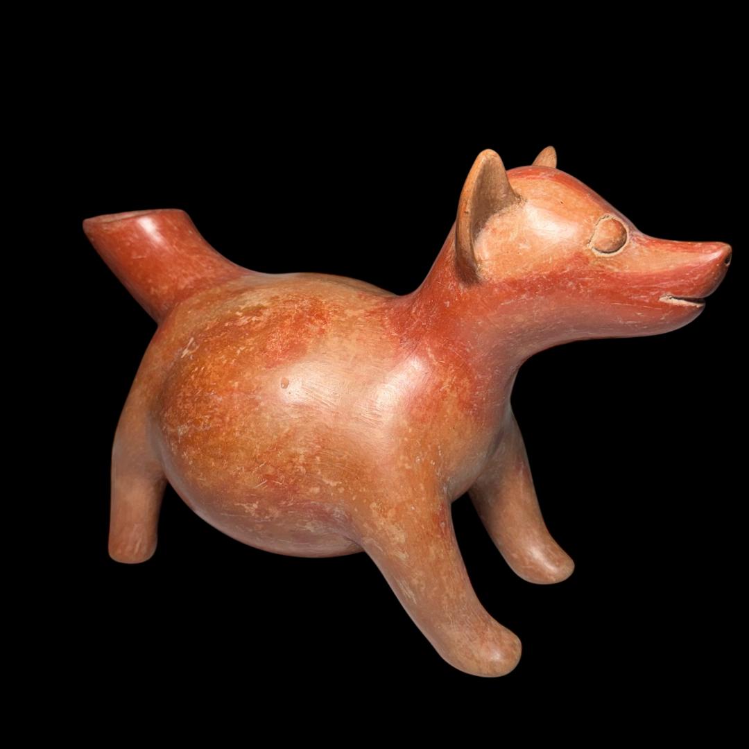 Pre-Columbian Colima pottery dog