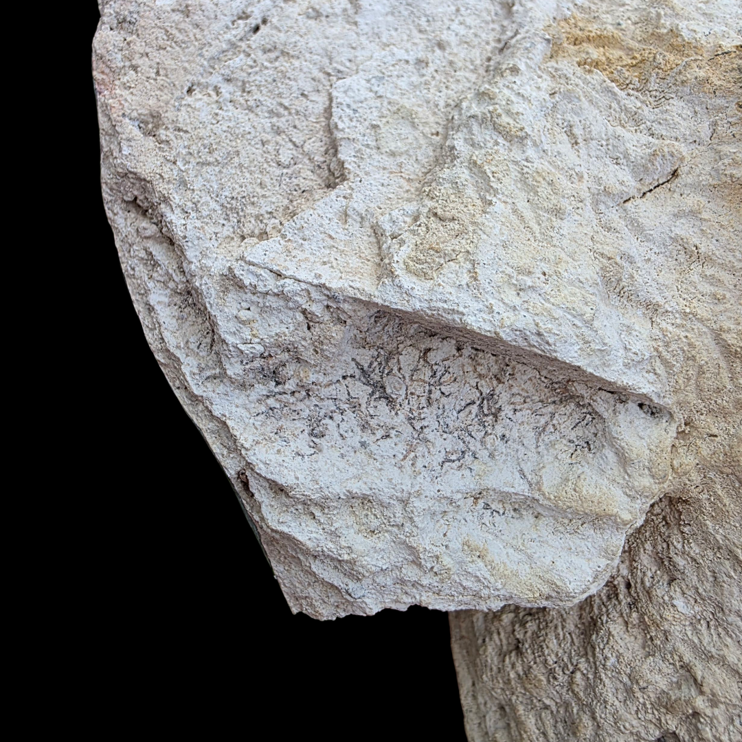 Pre-Columbian Maya Stucco Head