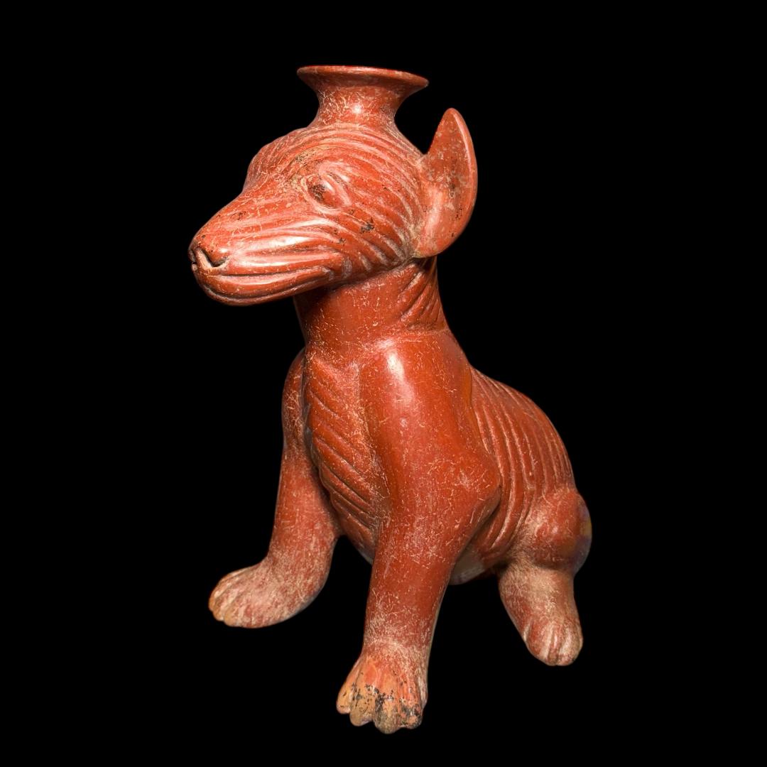 Pre-Columbian Colima wrinkled dog